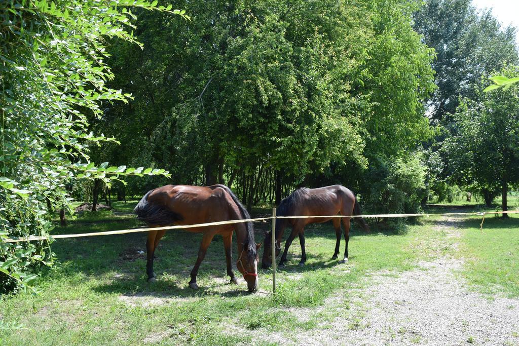 Agriturismo Tre Rondini Legnago Εξωτερικό φωτογραφία