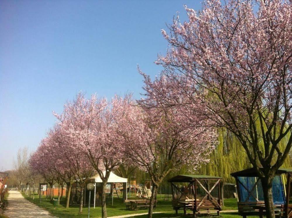 Agriturismo Tre Rondini Legnago Εξωτερικό φωτογραφία